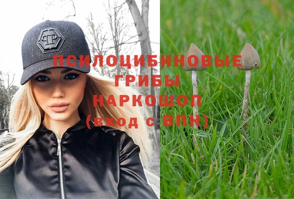 соль курить ск Кукмор
