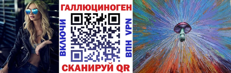 Купить  Болгар  Галлюциногенные грибы Psilocybe 